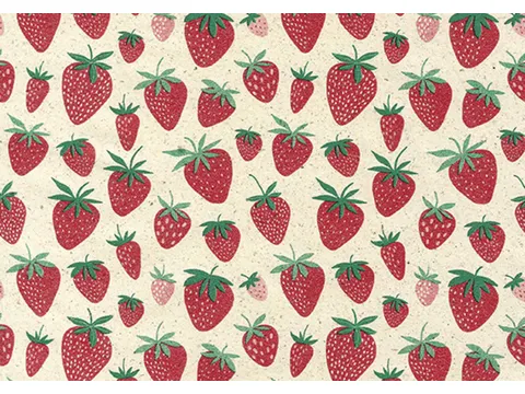 Rotolux Apparaatrol Strawberry 200mx30cm inpakpapier