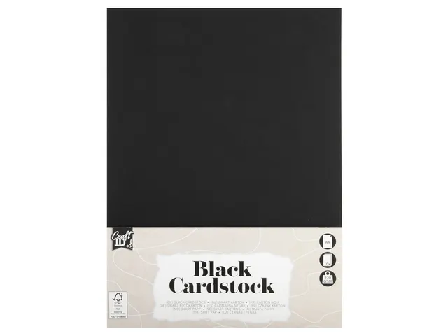 Hobbykarton CraftID A4 220gr zwart 10 vel