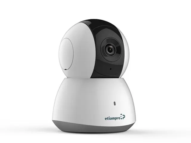 Mini Ip-Camera - Wifi - Pan/Tilt - 2MP