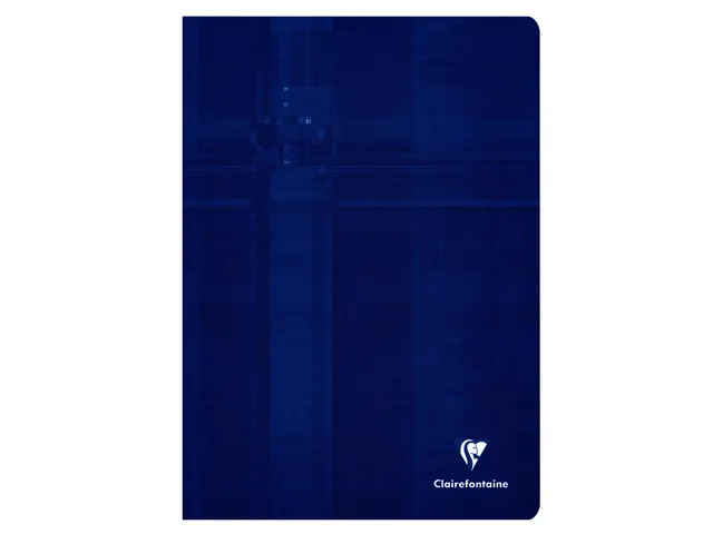 Schrift Clairefontaine A4 ruit 4x8mm 80 pagina's 90gr assorti