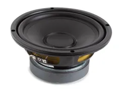 Zwarte Subwoofer Voor Luidspreker 6.5 Inch / 250W