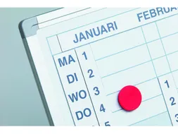 Dagstrook Smit Visual Voor Verticale Jaarplanner 120x90 Cm