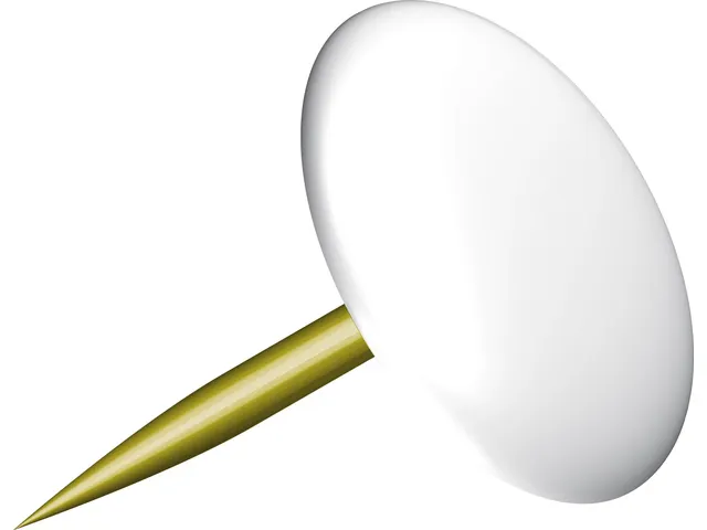 Punaise Kangaro capuchon blanc. 100 pieces dans une boite.