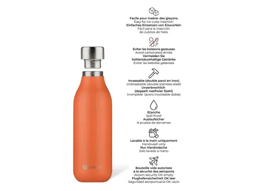 Thermosfles 2.0 Les Artistes Paris 500ml Spice