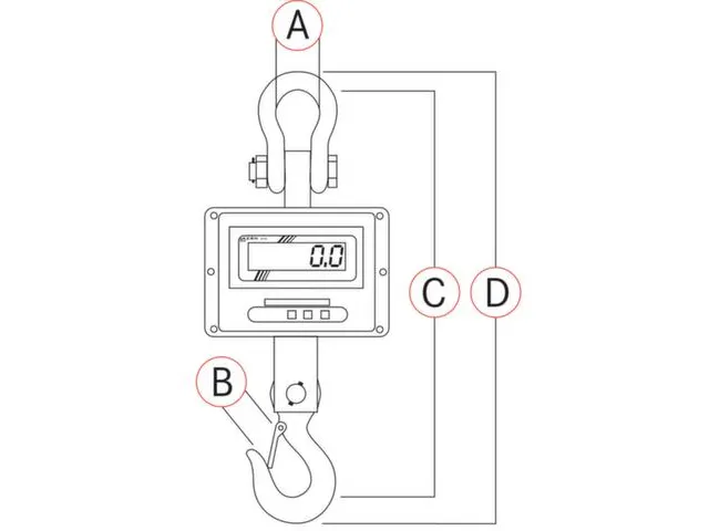 Kraanweegschaal Lcd Display Metaal Infrarood Afstandbediening 0-1000kg