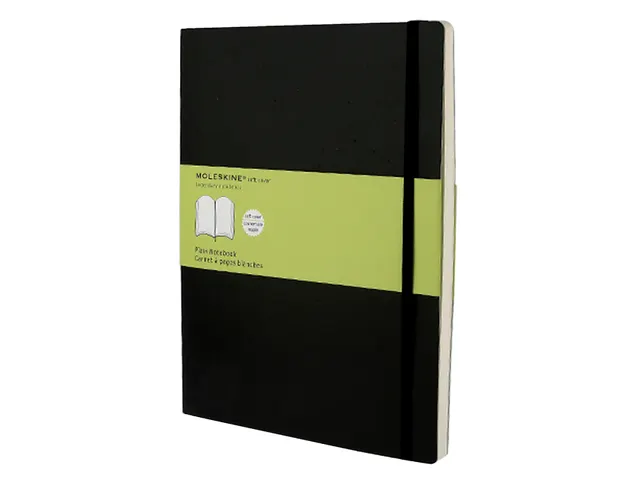 Notitieboek Moleskine XL 190x250mm blanco soft cover zwart