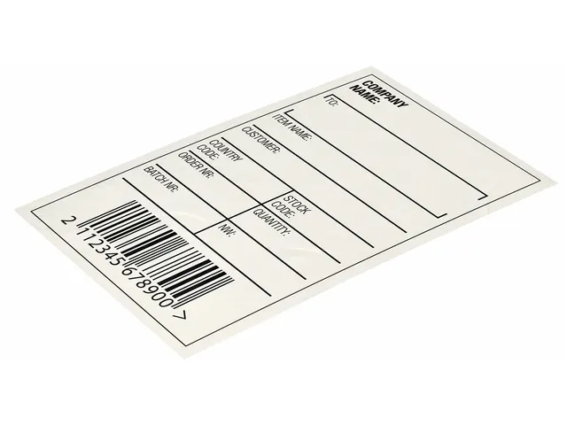 Etiket Leitz icon labelprint papier 61mmx22m wit