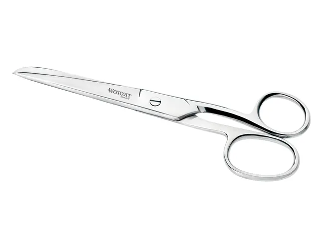 Schaar Westcott 15,5cm RVS glanzend