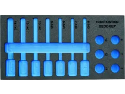 EI-1500 CT1-IN 19LKM Check tool module leeg