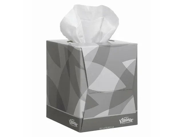 Mouchoir Kleenex 2 épaisseurs Blanc Cube 21,5x2018cm 12x 90 mouchoirs