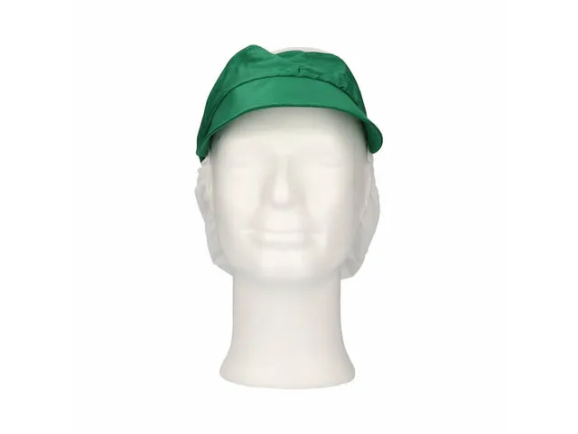 Pet met klep en haaropvang maat L Polyester Kroon Groen 100 stuks