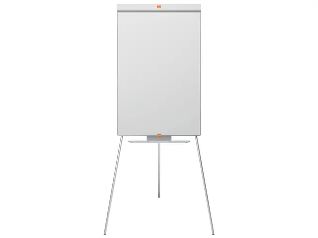 Impression Pro tableau de conférence, ft 68 x 105 cm, en acier, magn