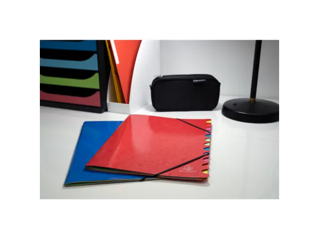 Sorteermap IDERAMA g eniet 12 vak ass