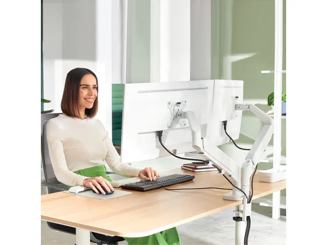 Bras double pour écran Leitz Ergo faible encombrement gris