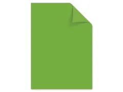 Papier Kangaro A4 80grs groen pak 100 vel