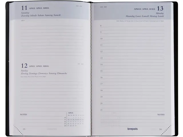 Breform Seta zwart 2026