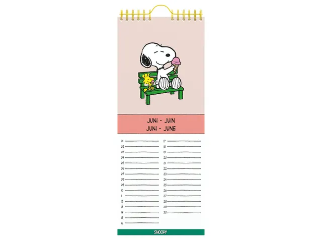 Calendrier anniversaire Lannoo Peanuts 130x325mm