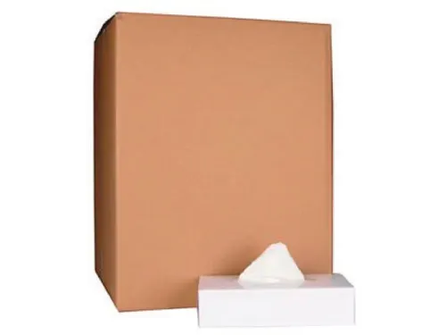 Papieren zakdoek 2-laags wit 100 tissues per doos, pak à 40 stuks