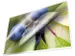 Pochette de plastification Kangaro A4 80 micron 25 flles