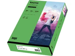 Inapa Tecno colors Gekleurd papier A4 Intens Groen 80 gram 500 vel