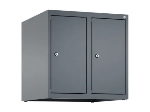 opzetkast,v. locker,2vak.,vak B 250mm,HxBxD 500x500x500mm,vleugeldeur