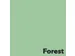 Offset papier Image Coloraction forest/middelgroen 120g 450x640mm FSC