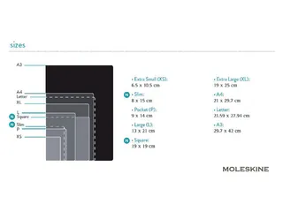 Notitieboek Moleskine large 130x210mm lijn hard cover zwart - 2