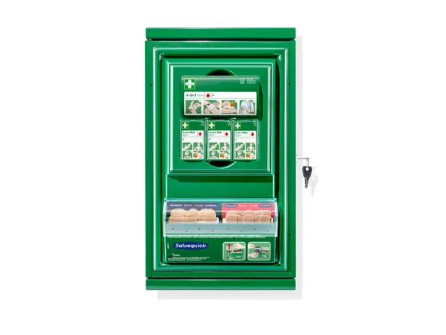 Cederroth 291400 EHBO-kast mini, afsluitbaar, per stuk