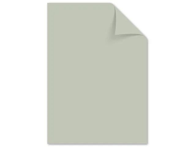 Papier Kangaro A4 160gr paquet de 100 feuilles pastel assorti