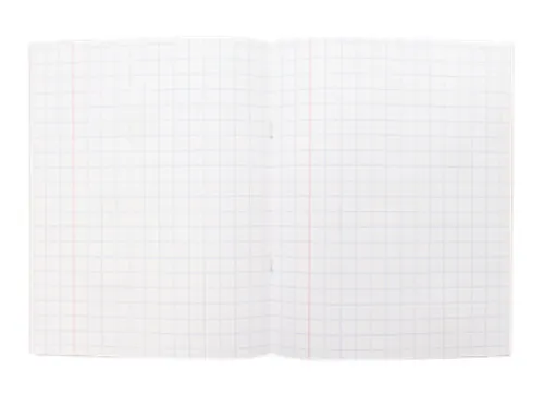Schrift Kangaro A5 ruit 10mm 80pagina's 60gram 10 stuks assorti