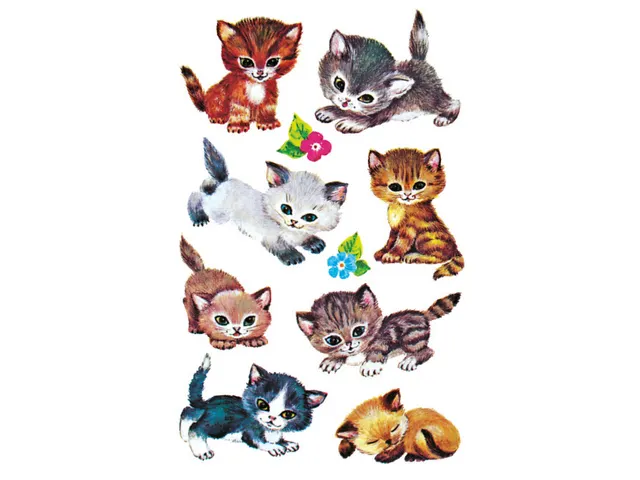 papieretiket Z-design Kids pakje a 3 vel katten