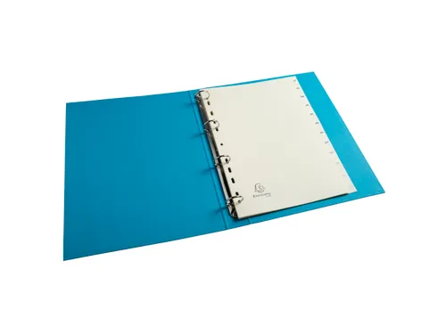 Tabbladen karton 155 g jan-dec ivoor