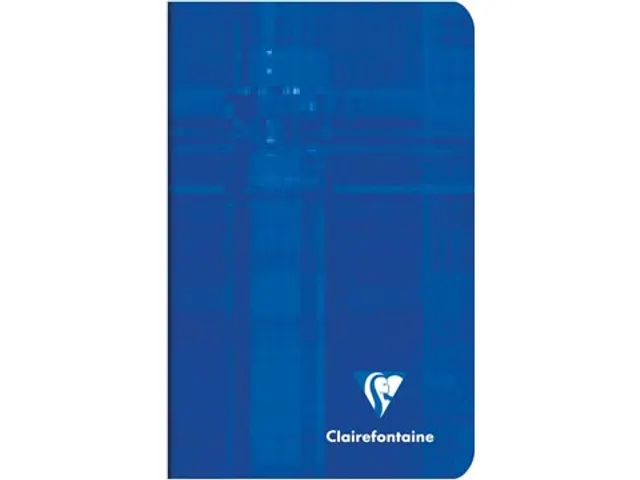 notitieboekje Metric ft 75x120mm, geruit 5mm, 48 blz assorti