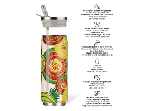 Thermosbeker Les Artistes Paris blik 500ml Chupa Fruit met rietje