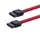 30cm SATA Serial ATA Kabel