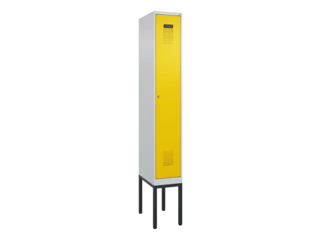 locker voor scheiding van kleding,HxBxD 2120x300x500mm,1vak
