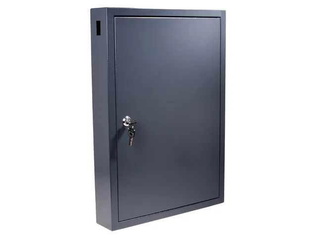 Sleutelkast Pavo deluxe 100 haken 550x380x90mm cilinderslot grijs