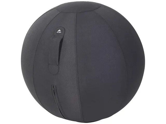 Ergoball ergonomische zitbal zwart Ø 65 cm.