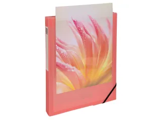 Klasseerdoos R40mm P P KREAC PASTEL geass - 10