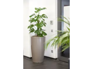 plantenzuil,rond,PE,beigegrijs,HxØ 1100x620mm,80l - 1