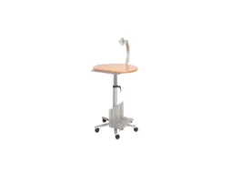 Mobiel Werkstation Professioneel Beuken Hout