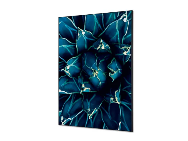 Wanddecoratie Textiel Set A1 Cactus Blauw