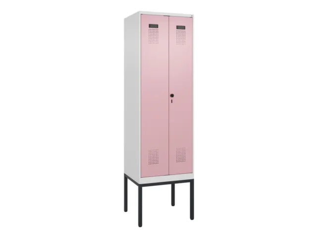 locker voor scheiding van kleding,HxBxD 2120x600x500mm,2vak