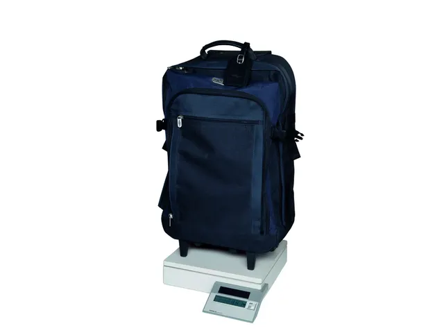 Pakketweger MAUL Parcel S 30x30cm solar 50kg