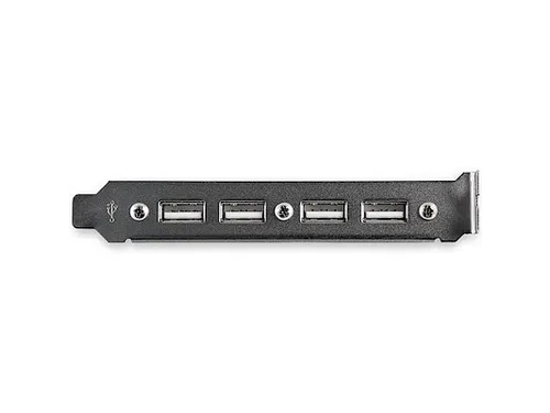 4-poorts USB A vrouwelijke sleufplaatadapter