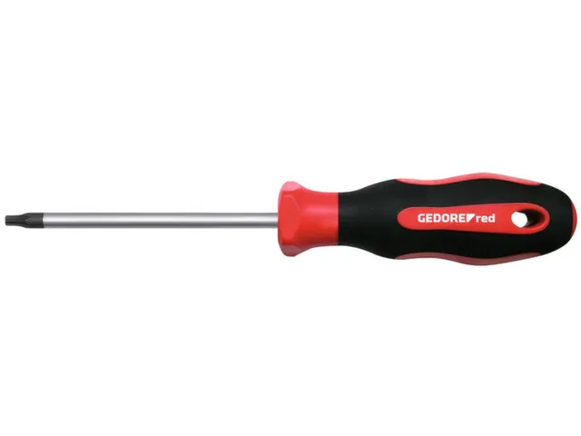 R38401622 2C schroevendraaier TX T30 100mm