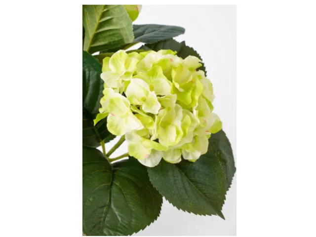 Kunstplant Mica Hortensia in pot groen 35x40cm