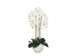 Kunstplant Mica Phalaenopsis in pot wit 40x34x82cm