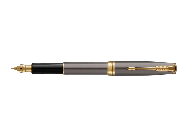 Stylo plume Parker Sonnet Collection Grey GT Medium