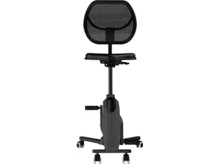 Bureaufiets Ross - 5